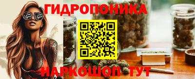 шишки Волжск