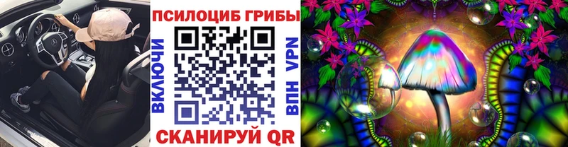 Галлюциногенные грибы GOLDEN TEACHER цена наркотик даркнет официальный сайт Пушкино