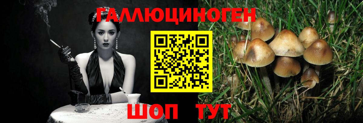 Галлюциногенные грибы мухоморы  Вход с VPN  Пушкино 